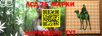 альфа пвп Гатчина