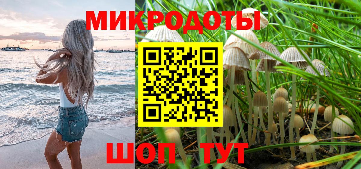 Черкесск  Псилоцибиновые грибы ЛСД  Вход с VPN  Псилоцибиновые грибы Magic Shrooms 